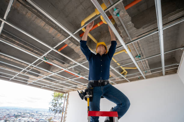 Best Plumbing Inspection Services  in American Falls, ID