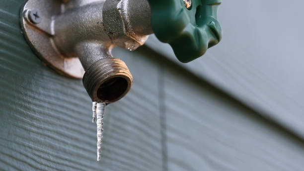 Best Leak Detection Services  in American Falls, ID
